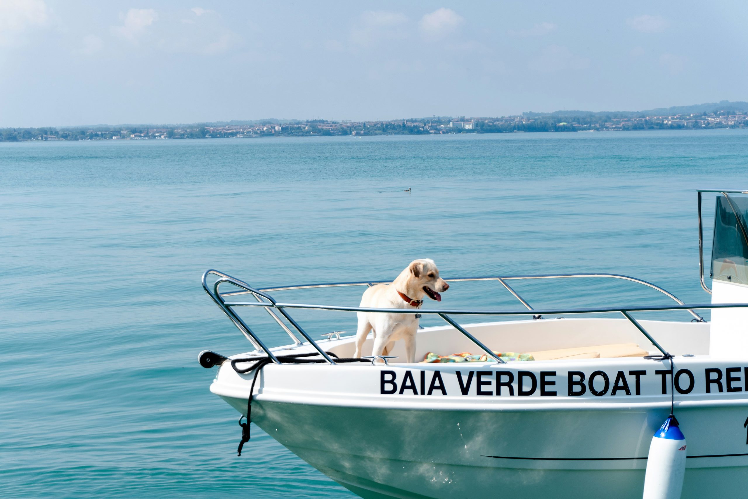 electric outboard motor