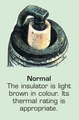 Checking the spark plug 1